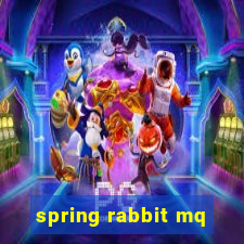 spring rabbit mq